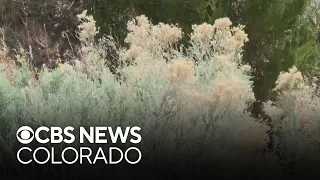 Xcel Energy activates Enhanced Powerline Safety Settings due to high fire danger
