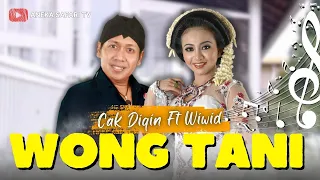 cak diqin ft wiwid wong tani official music video 