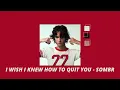 Download Lagu (1 hour loop) i wish i knew how to quit you - sombr