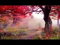 SMYL - Lost myself - Karaoke4me