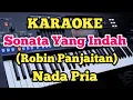 Lagu SONATA YANG INDAH(Karaoke) - Robin Panjaitan - Nada Pria
