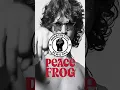Lagu The Anarchetype: Peace Frog - Funk Rework #thedoors #funk #rock #music #classicrock