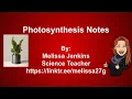 Photosynthesis Notes