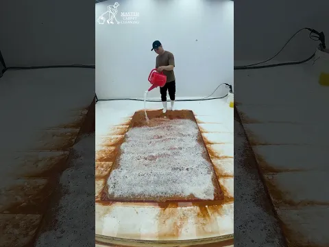 A little ASMR, a lot of clean. 🧼 #carpetcleaning #relax