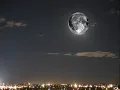 Showaddywaddy - Under the moon of love