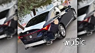 مغربي طرب        مطلوب اكثر شيء  دندنها