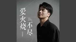 Download 爱火烧不尽 MP3