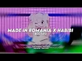 DJ Yali Yali Yali Made In Romania x Melody Habibi - Viral TikTok 2025 (SMXXL x QUEEN FIRA)
