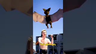 المغني أكل الخفاش   دندنها