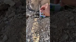 اسقو الطيور ولكم الاجر  اسقو الطيور ولكم الاجر