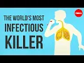 Download Lagu What makes tuberculosis (TB) the world's most infectious killer? - Melvin Sanicas