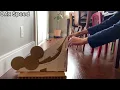 Brachistochrone Demonstration