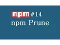 npm Tutorial for Beginners - 14