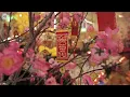 Biloxi temple celebrates Lunar New Year