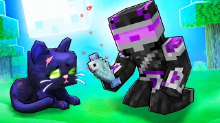 Adopté Un Gato Negro En Minecraft
