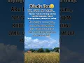 Download Lagu Rindu ibu yang sudah meninggal _ kerinduan seorang anak kepada ibunya #quotes #rinduibu #doauntukibu