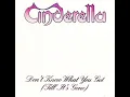 Lagu Cinderella - Don't Know What You Got (Till It's Gone) (1988 Short Version) HQ