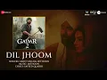 Dil Jhoom - Full Audio | Gadar 2 | Arijit Singh | Sunny Deol, Ameesha Patel | Mithoon, Sayeed Quadri