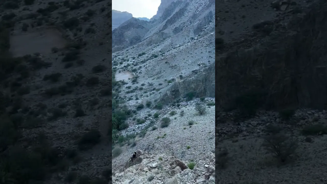 11 يونيو، 2026