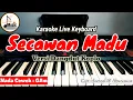 Lagu SECAWAN MADU KARAOKE DANGDUT KOPLO NADA WANITA / CEWEK