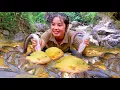 Download Lagu Rainy Day Fishing: Catch Giant Fish with Your Kids and Sell Them at the Market