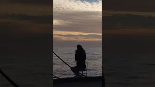 The most beautiful parts of sailing #sailing #sailboat #travel #dolphins #ocean #sea #beach