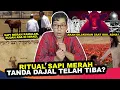 Download Lagu APA BENAR IDUL ADHA NANTI AKAN ADA RITUAL SAPI MERAH !?