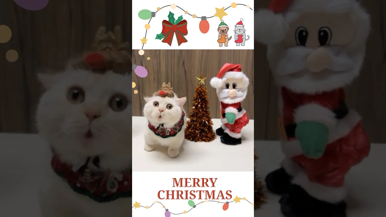 메리크리스마스🎅🏼❤️