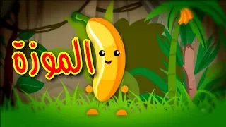 الموزة طيور الجنة  الموزة طيور الجنة