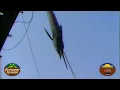 The Outdoors Delmarva 53rd White Marlin Open Special - Part 3 ing the 1988 White Marlin Open