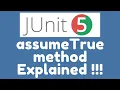 JUnit 5 Assumptions - assumeTrue method
