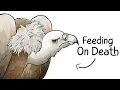 Download Lagu Why it Sucks To Be Born As a Vulture