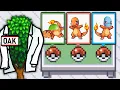 The Pokemon Game where EVERYTHING is a joke