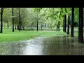 Download Lagu Rain Sounds in the Forest is Effective for Insomnia - Best Sleeping White Noise, Fall Asleep Quickly