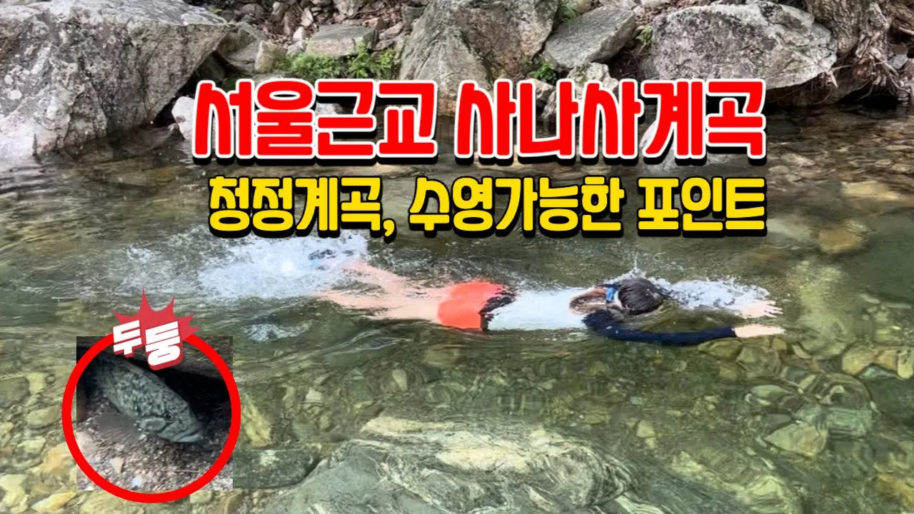 서울근교 경기도 계곡 수영가능한 양평 사나사계곡 물놀이 포인트 サムネイル