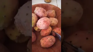 اسهل طريقة لإزالة شوك فاكهة التين الشوكي البرشومي الهندي 