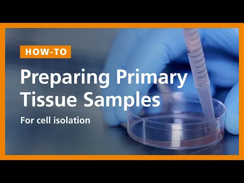 Download MP3 How to Prepare a Single-Cell Suspension from Primary Tissue Samples (e.g. Mouse Spleen)