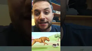 ليه الأرانب ودانها طويله 