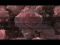 Download Lagu XXXTENTACION~ True Love {sped up}