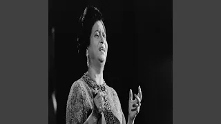 دور شرف حبيب القلب 