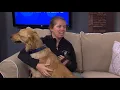 Berlin Police Department s New Officer K9 Dock