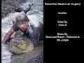 Steve Irwin killed - Small Tribute