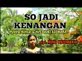 Download Lagu SO JADI KENANGAN | cipt. Nong Watomakin| Ryntho Nimun \u0026 Ave Band Adonara