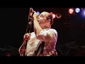 Download Lagu Social Distortion - Machine Gun Blues