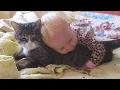 Download Lagu When Cats and Babies Grow Together as Siblings 😻