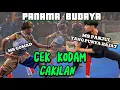 Download Lagu Cakilan Terbaik ☆ Ebeg Panama Budaya ☆ MS GOMAD + MS PANJUL (yang punya hajat)
