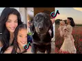 Download Lagu Pretty Little Baby ~ Tiktok World Compilation
