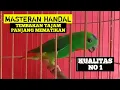 Download Lagu Dencingan serindit nembak tajam untuk masteran dan pancingan serindit