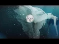 Joe Rogan s Thoughts On Float Therapy