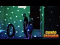 BAD BUNNY - CUANDO PERRIABAS | X100PRE [Visualizer]